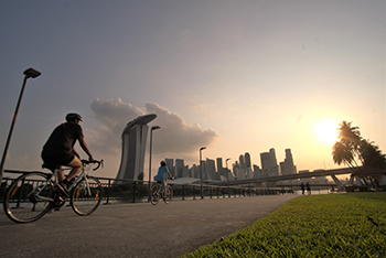 Park Connector Network