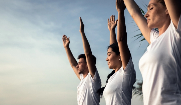 Public and private sky terraces and landscape